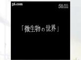 初中  生物  人教版（2024）  七年级上册  第二单元  第三章 微生物第一节 微生物的分布 课件..