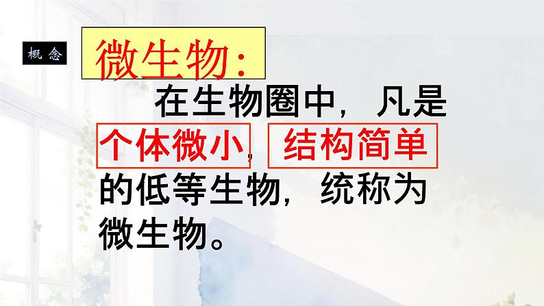 初中  生物  人教版（2024）  七年级上册  第二单元  第三章 微生物第一节 微生物的分布 课件..第6页