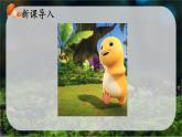 初中  生物  人教版（2024）  七年级上册  第二单元   第三章 第三节 真菌 课件