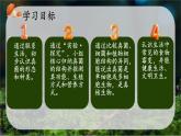 初中  生物  人教版（2024）  七年级上册  第二单元   第三章 第三节 真菌 课件