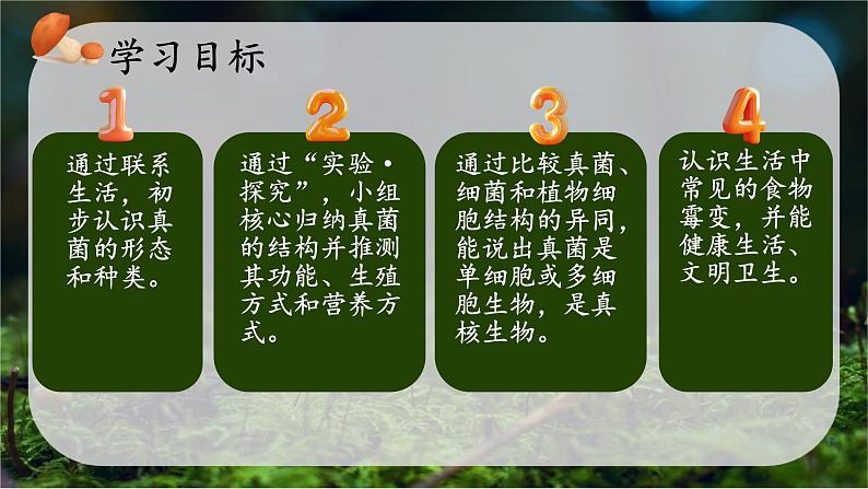 初中  生物  人教版（2024）  七年级上册  第二单元   第三章 第三节 真菌 课件03