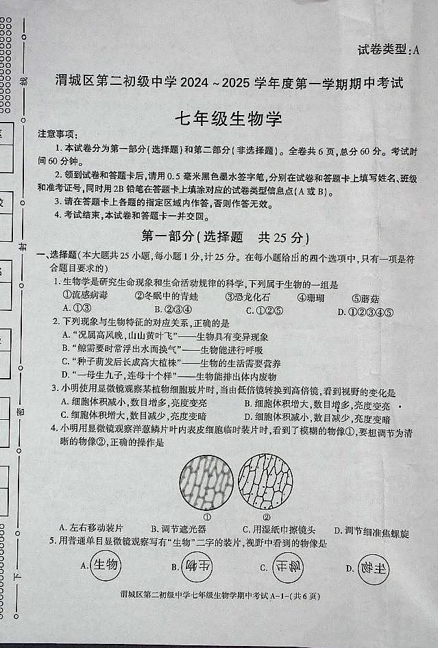 陕西省咸阳市渭城区第二初级中学七年级生物学2024-2025年第一学期期中考试第1页