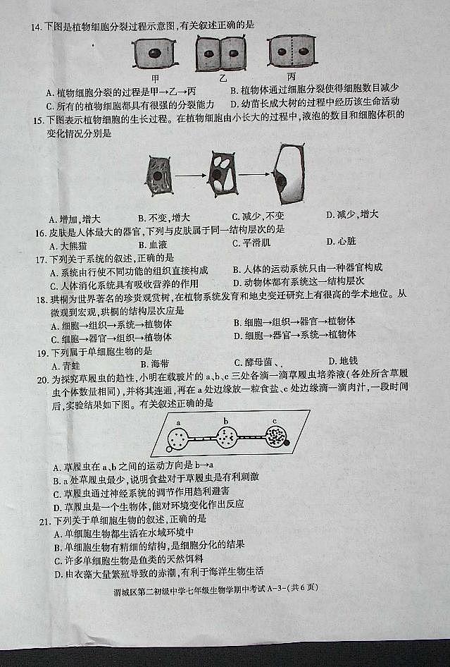 陕西省咸阳市渭城区第二初级中学七年级生物学2024-2025年第一学期期中考试第3页