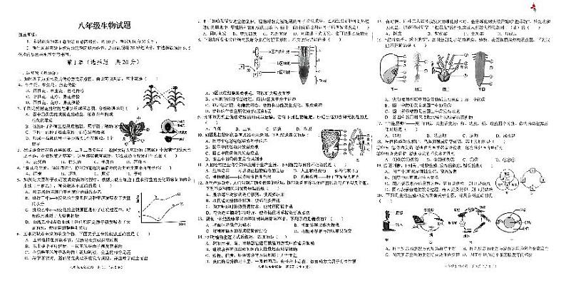 山东省菏泽市牡丹区2024-2025学年八年级上学期期中考试生物试卷第1页