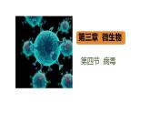 初中 生物 人教版（2024） 七年级上册 第二单元 第三章第四节 病毒 课件