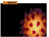 初中 生物 人教版（2024） 七年级上册 第二单元 第三章第四节 病毒 课件