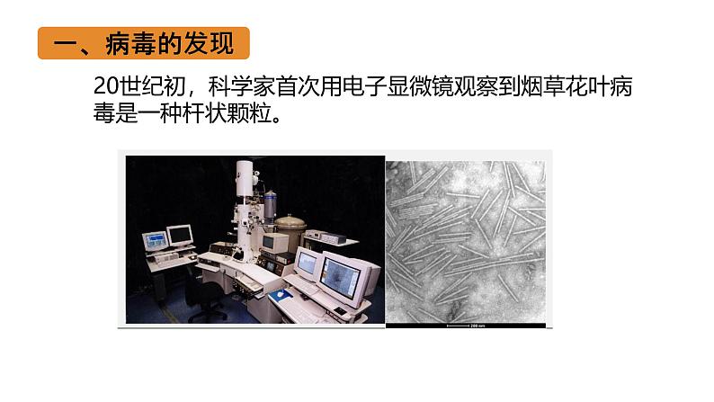 初中 生物 人教版（2024） 七年级上册 第二单元 第三章第四节 病毒 课件08