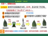 初中 生物 人教版（2024） 七年级上册 第二单元 第三章第四节 病毒 课件