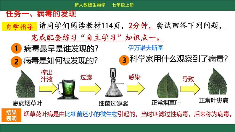 初中 生物 人教版（2024） 七年级上册 第二单元 第三章第四节 病毒 课件05