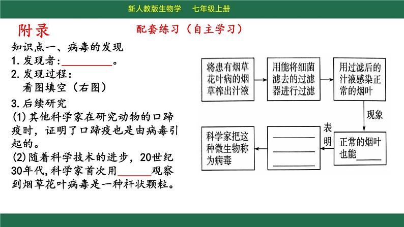 初中 生物 人教版（2024） 七年级上册 第二单元 第三章第四节 病毒 课件07