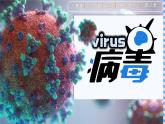 初中 生物 人教版（2024） 七年级上册 第二单元 第三章第四节 病毒 课件