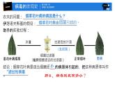 初中 生物 人教版（2024） 七年级上册 第二单元 第三章第四节 病毒 课件