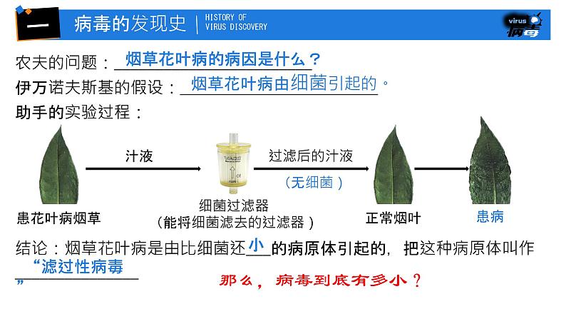 初中 生物 人教版（2024） 七年级上册 第二单元 第三章第四节 病毒 课件03