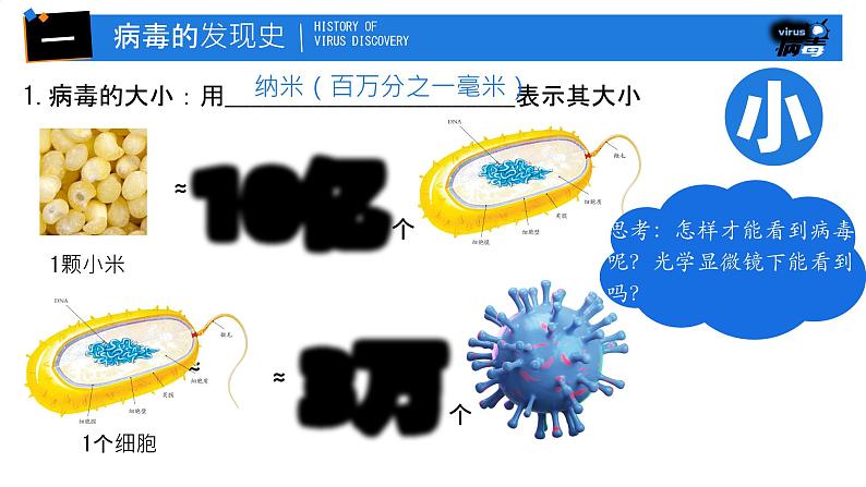 初中 生物 人教版（2024） 七年级上册 第二单元 第三章第四节 病毒 课件04