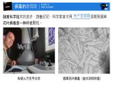 初中 生物 人教版（2024） 七年级上册 第二单元 第三章第四节 病毒 课件