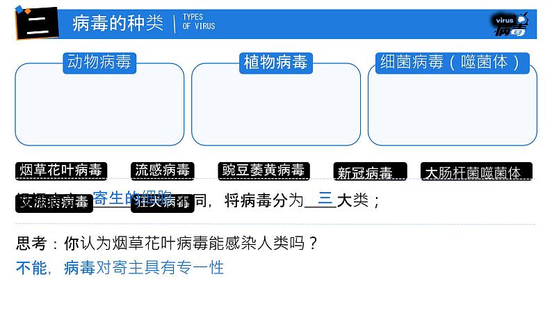 初中 生物 人教版（2024） 七年级上册 第二单元 第三章第四节 病毒 课件06