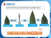 初中 生物 人教版（2024） 七年级上册 第二单元 第三章第四节 病毒 课件