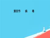 初中 生物 人教版（2024） 七年级上册 第二单元 第三章第四节 病毒 课件