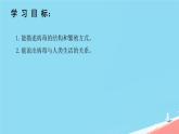 初中 生物 人教版（2024） 七年级上册 第二单元 第三章第四节 病毒 课件
