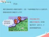 初中 生物 人教版（2024） 七年级上册 第二单元 第三章第四节 病毒 课件