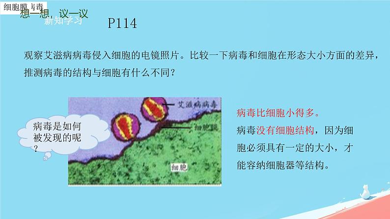 初中 生物 人教版（2024） 七年级上册 第二单元 第三章第四节 病毒 课件04