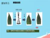 初中 生物 人教版（2024） 七年级上册 第二单元 第三章第四节 病毒 课件