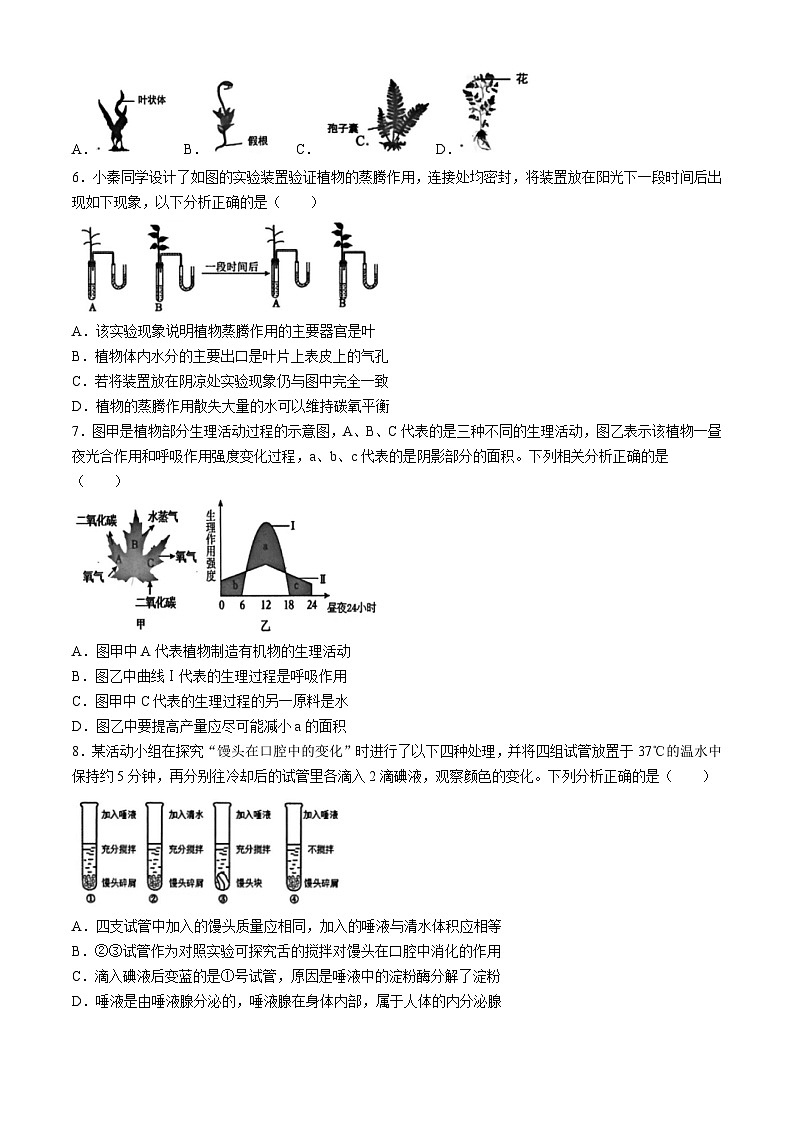 陕西省西安交大附属中学2024-2025学年八年级上学期期中生物试题第2页