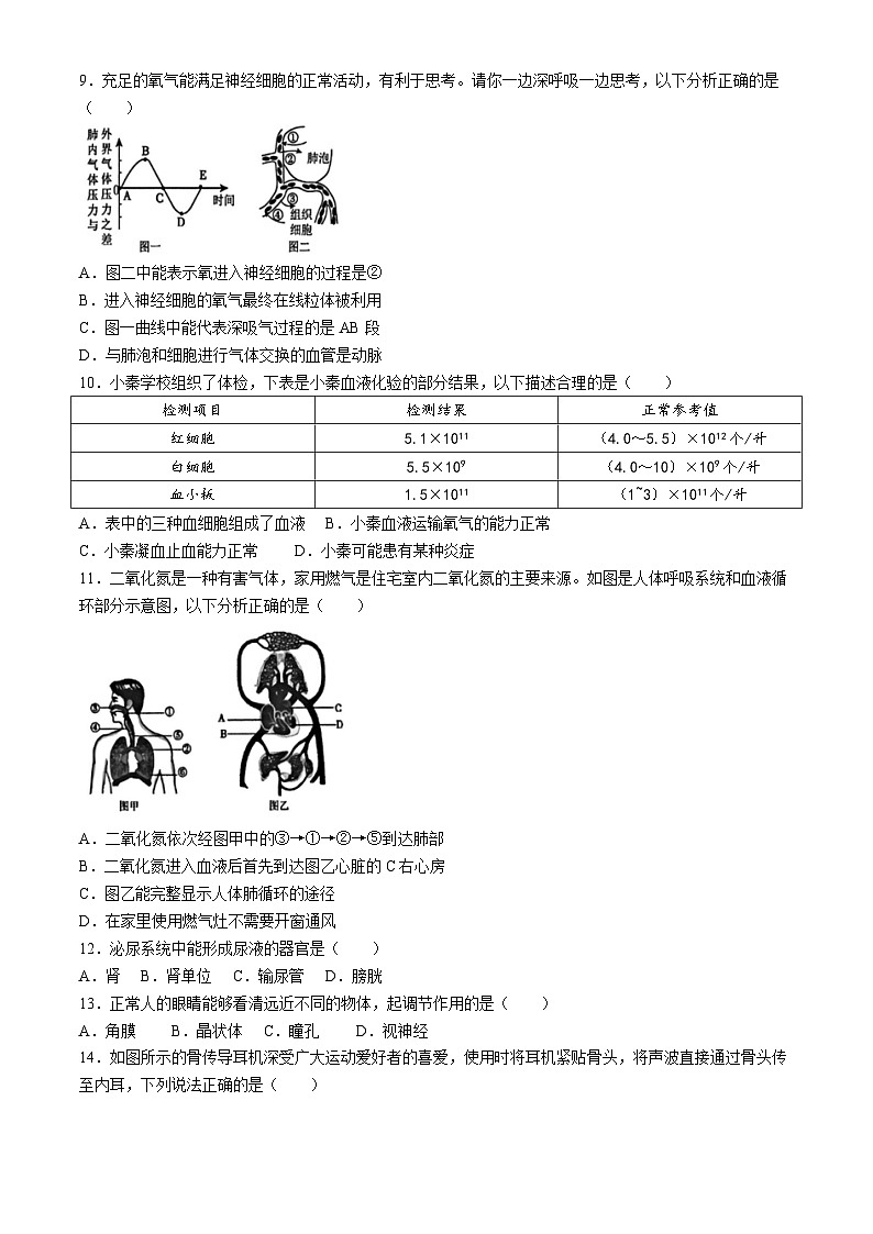 陕西省西安交大附属中学2024-2025学年八年级上学期期中生物试题第3页