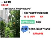 人教版（2024）七年级生物上册第一单元1.2生物的特征ppt精品课件