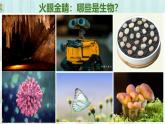 人教版（2024）七年级生物上册第一单元1.2生物的特征精品ppt课件