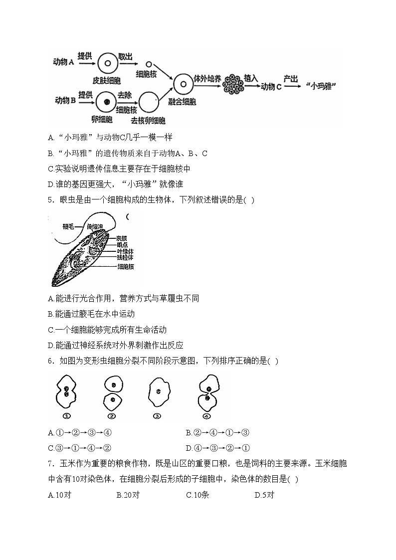河北省承德市兴隆县2024-2025学年七年级上学期期中考试生物试卷(含答案)第2页