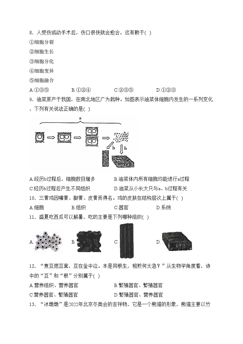 河北省承德市兴隆县2024-2025学年七年级上学期期中考试生物试卷(含答案)第3页