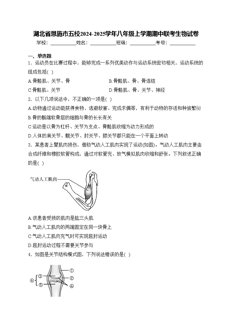 湖北省恩施市五校2024-2025学年八年级上学期期中联考生物试卷(含答案)01