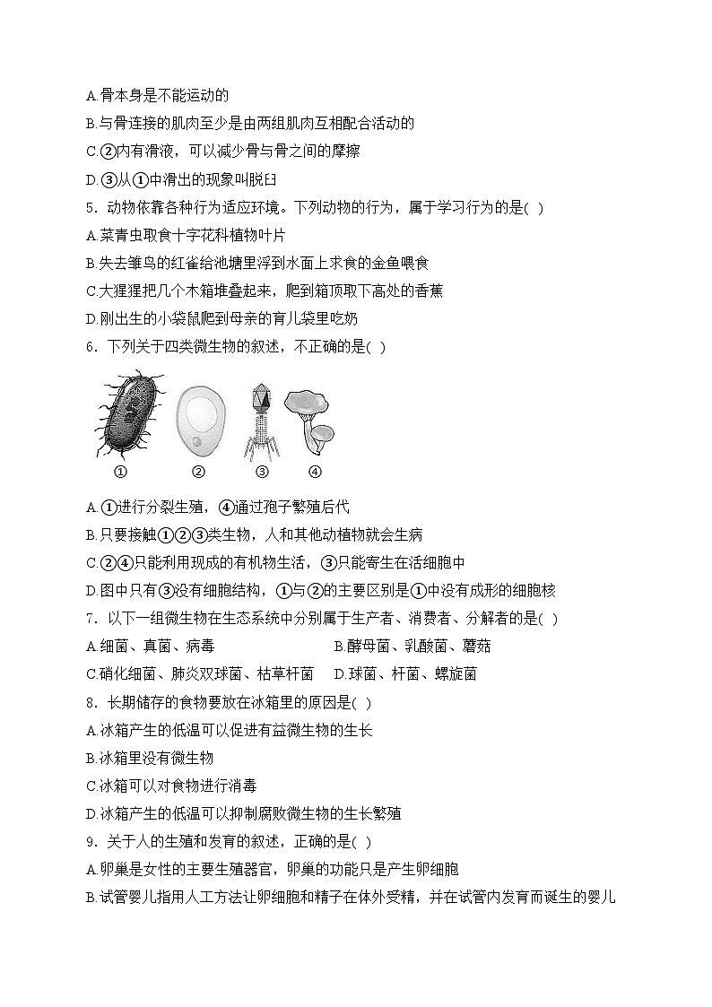 湖北省恩施市五校2024-2025学年八年级上学期期中联考生物试卷(含答案)02
