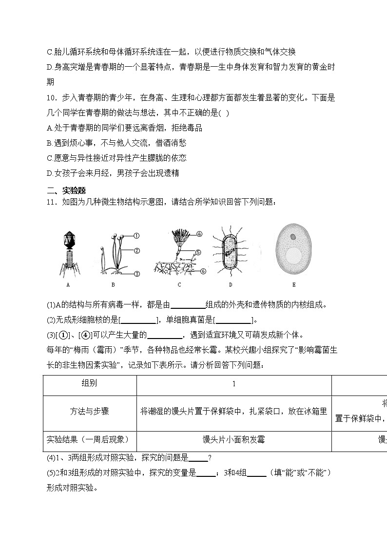 湖北省恩施市五校2024-2025学年八年级上学期期中联考生物试卷(含答案)03
