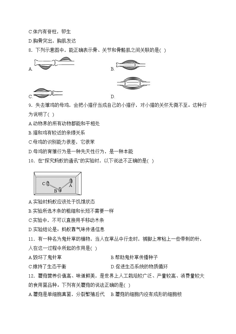 吉林省长春市农安县2024-2025学年八年级上学期期中生物试卷(含答案)第2页