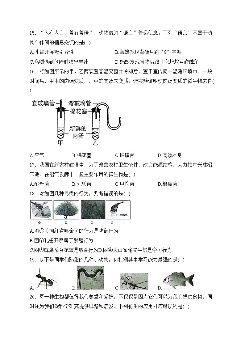 陕西省咸阳市三原县2024-2025学年八年级上学期11月期中考试生物试卷(含答案)第3页