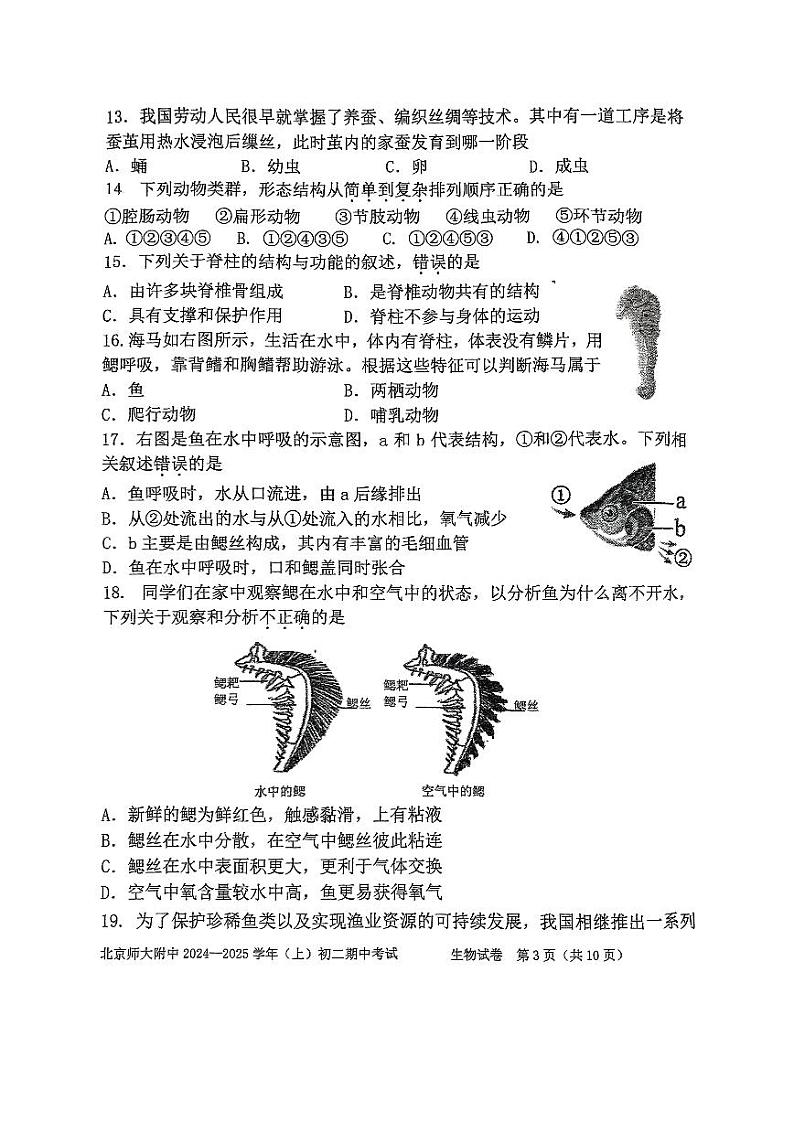 2024北京北师大附中初二（上）期中生物试题第3页