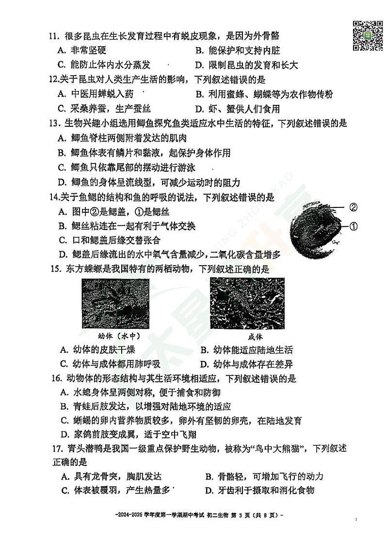2024北京二中初二（上）期中生物   无答案试题第3页