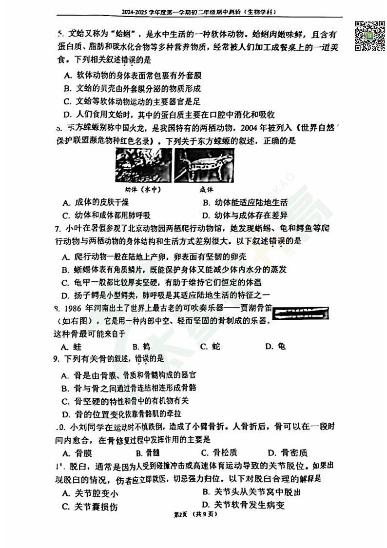 2024北京四中初二（上）期中生物   无答案试题第2页