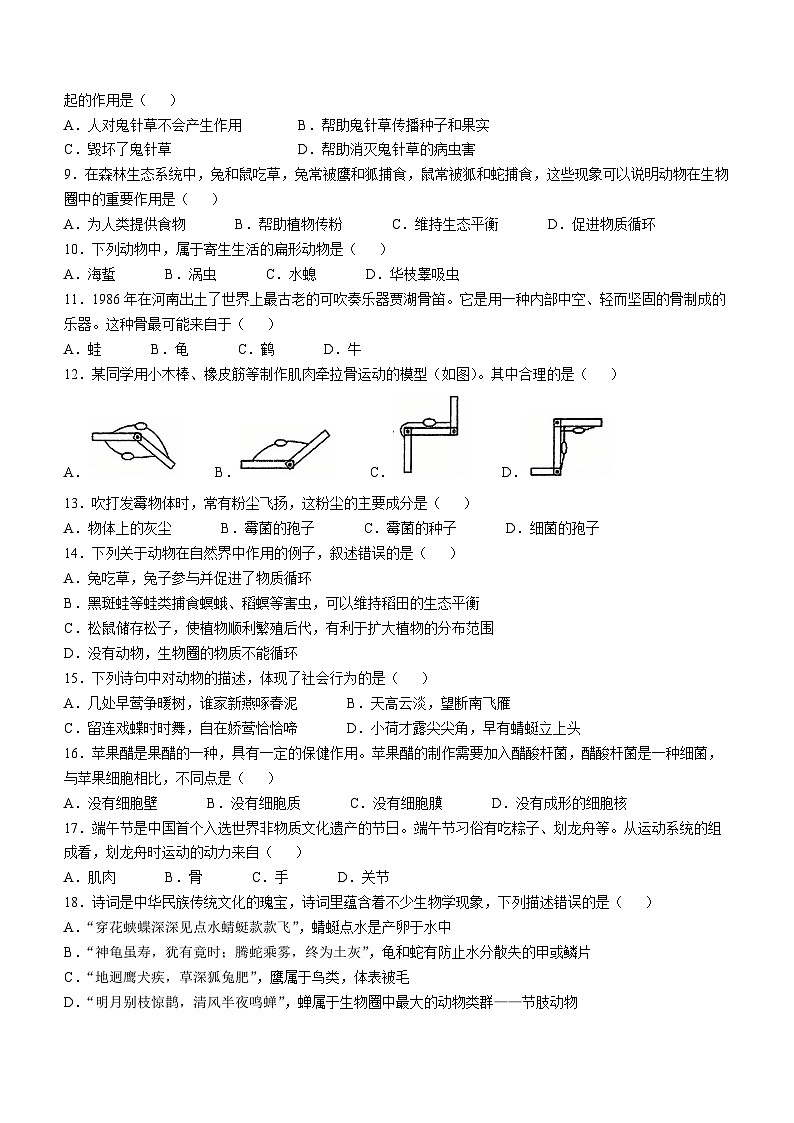 山东省聊城市东昌府区2024-2025学年八年级上学期期中生物学试题第2页