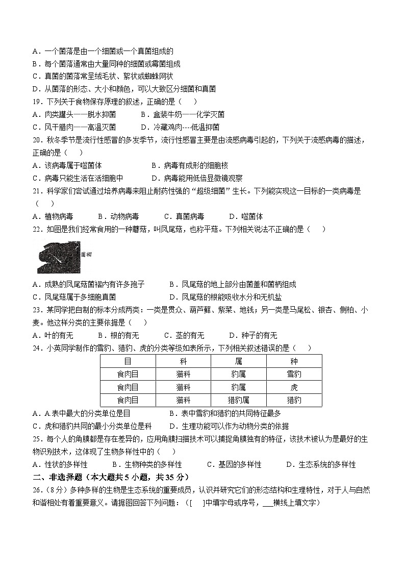 河北省沧州市孟村回族自治县2024-2025学年八年级上学期期中生物学试题第3页
