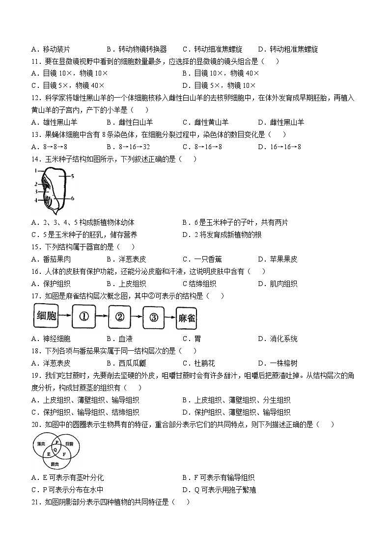 福建省福州三牧中学2024-2025学年七年级上学期期中生物试题(无答案)02