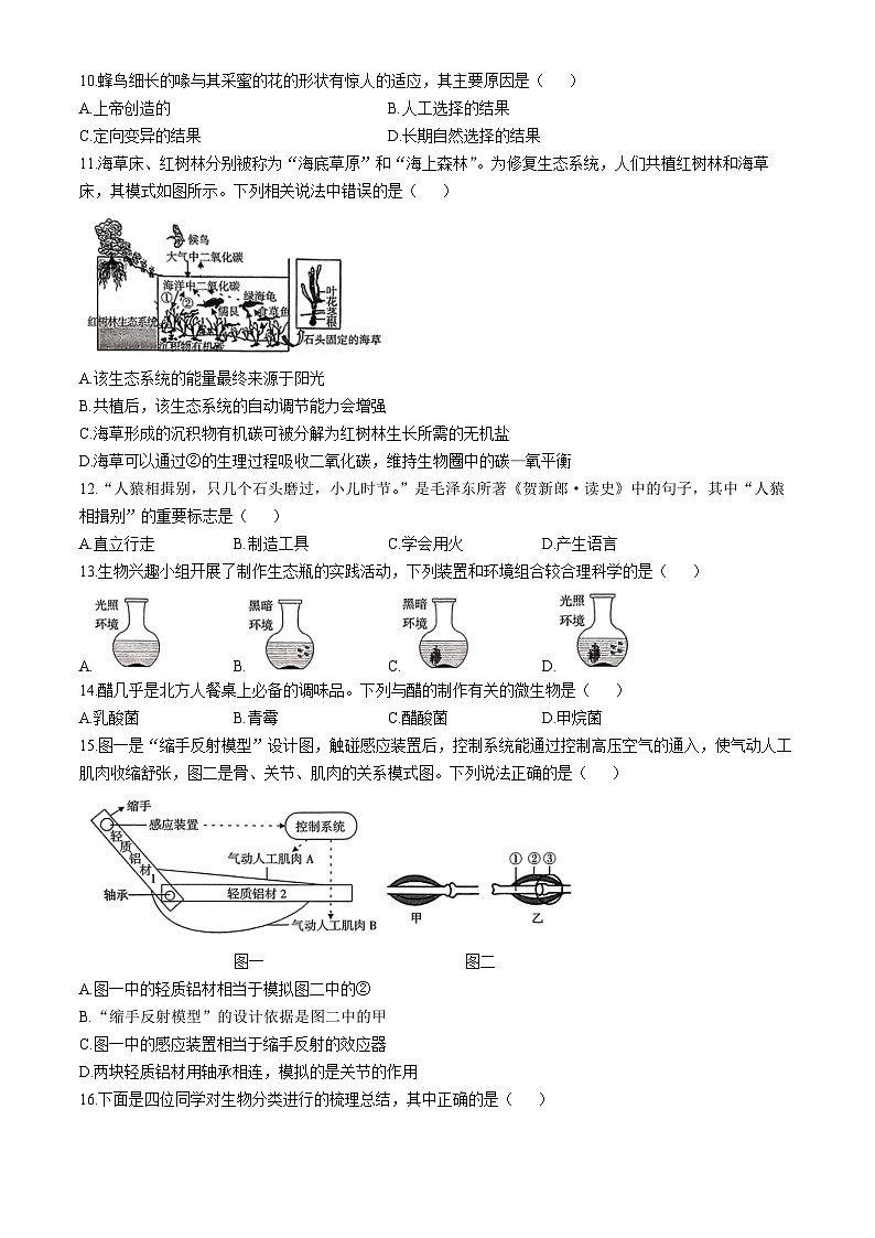山西省运城市实验中学2024-2025学年八年级上学期期中生物试题第3页