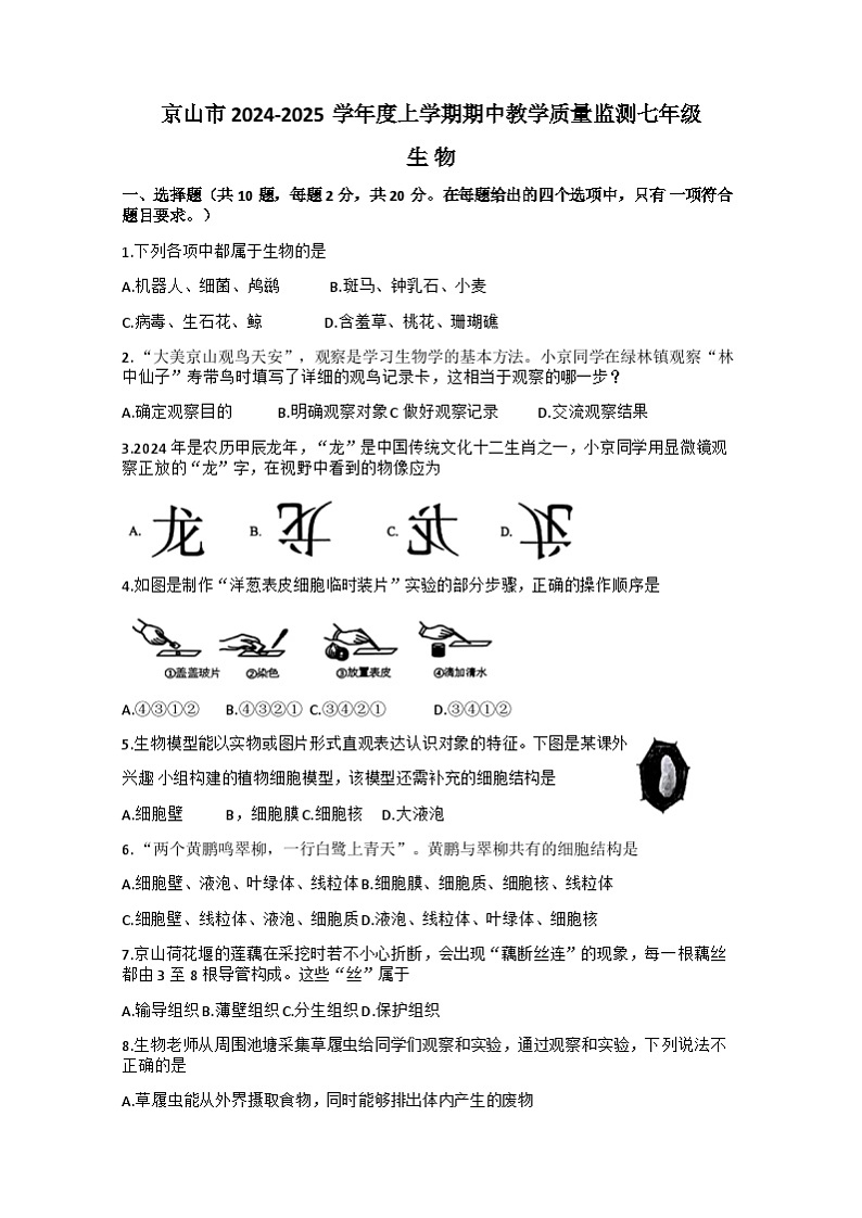 湖北省荆门市京山市2024-2025学年七年级上学期11月期中生物试题01
