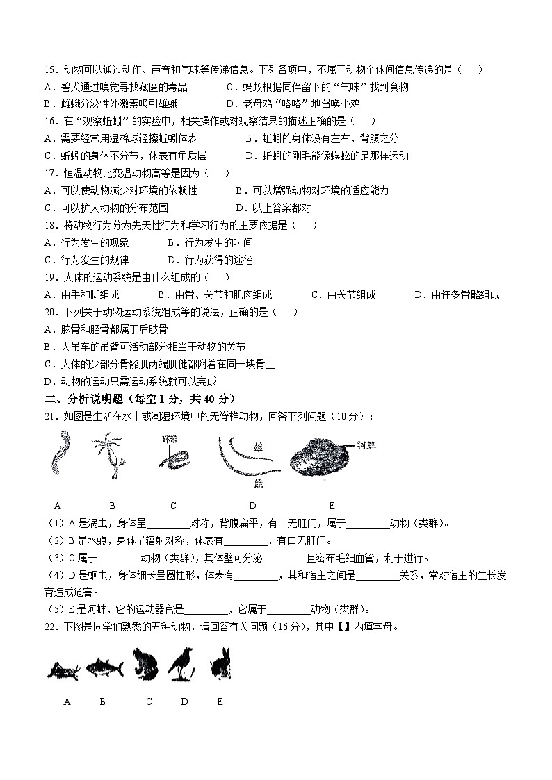 四川省泸州市泸县五中学区联合考试2024-2025学年八年级上学期期中生物试题02