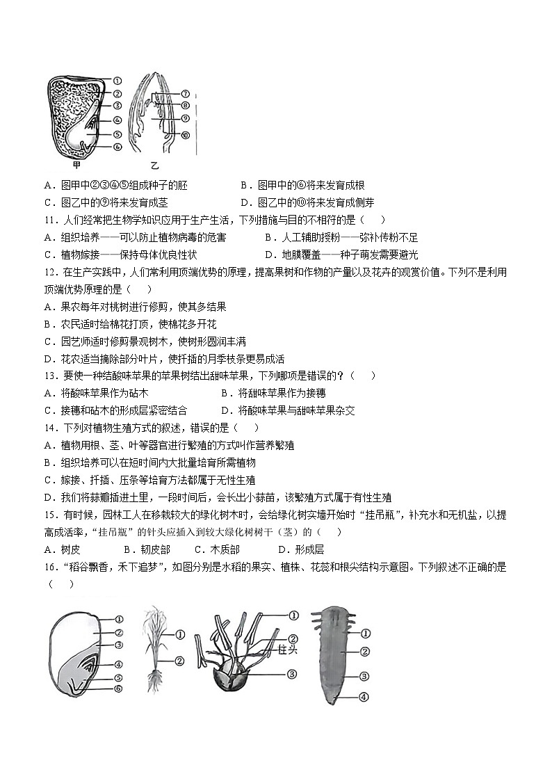 山东省菏泽市牡丹区2024-2025学年八年级上学期期中生物学试题第3页