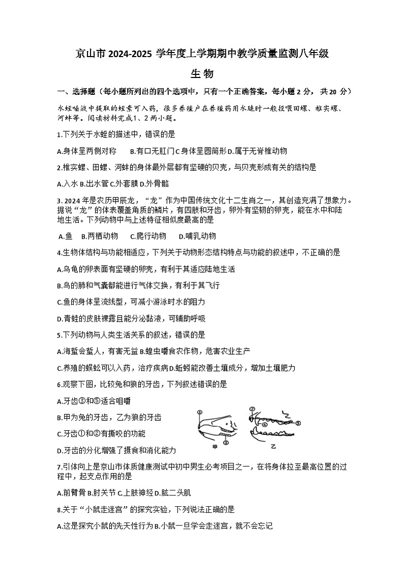湖北省荆门市京山市2024-2025学年八年级上学期11月期中生物试题01