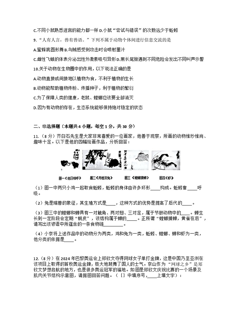 湖北省荆门市京山市2024-2025学年八年级上学期11月期中生物试题02