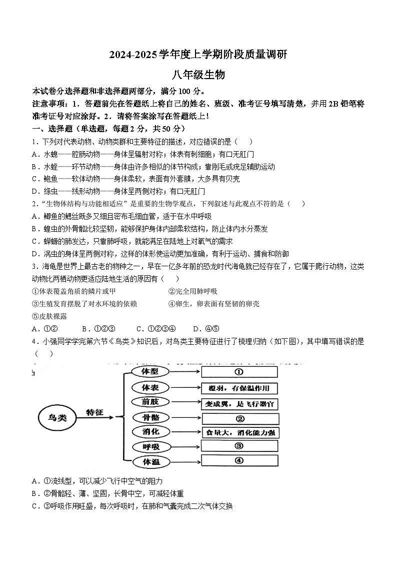 山东省临沂市平邑县2024-2025学年八年级上学期期中生物学试题(无答案)第1页